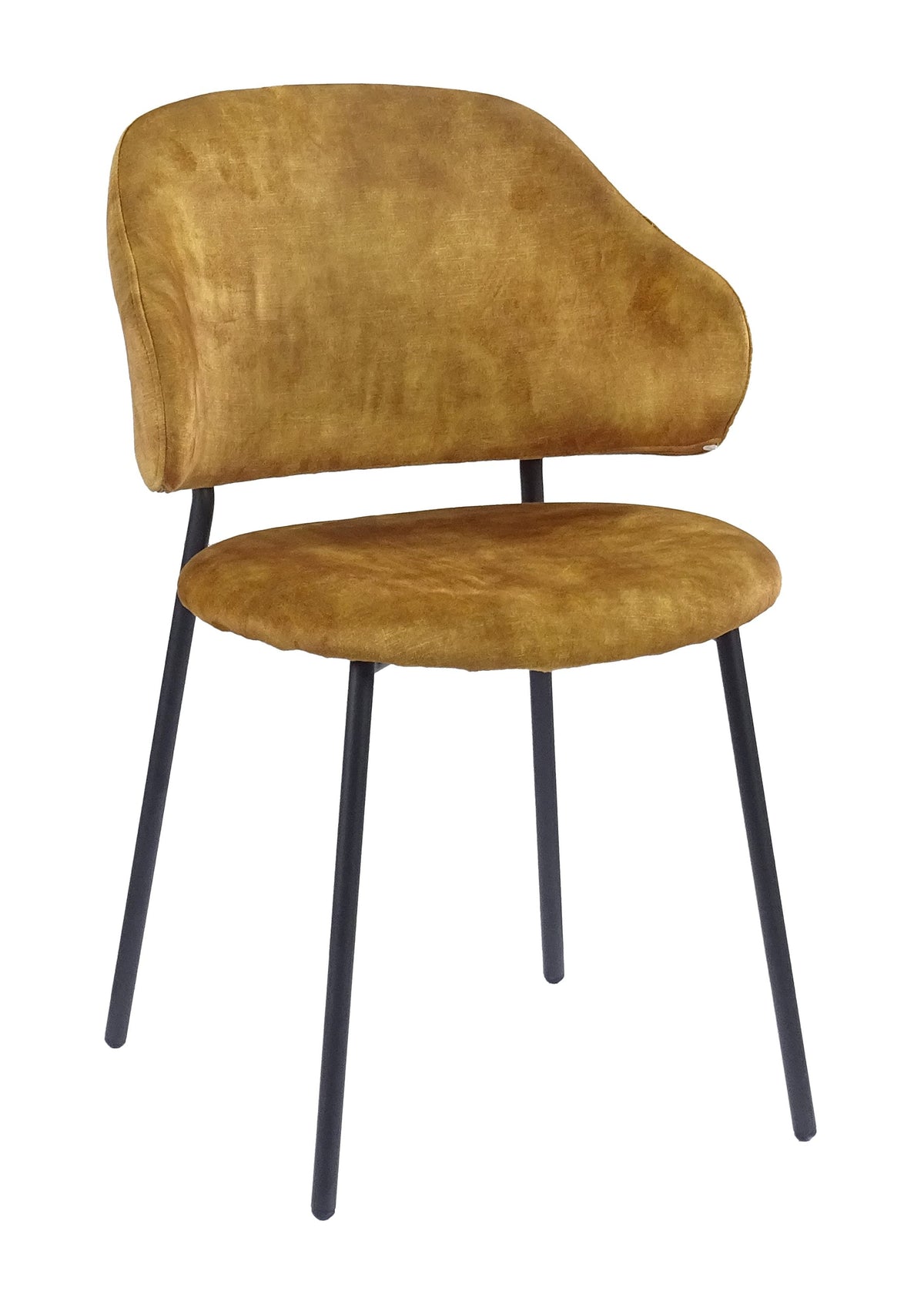 Indoor chair Riley – Modern velvet look in four colors | Gartenmöbelshop.at